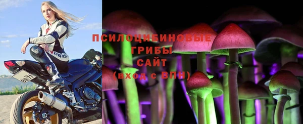 Альфа ПВП Богданович