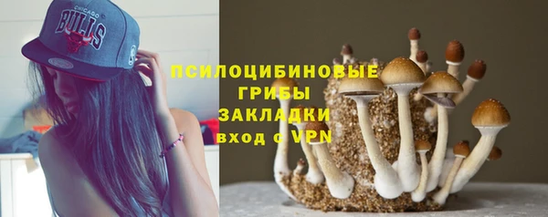 Альфа ПВП Богданович