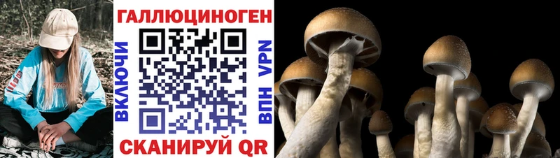 OMG сайт  Кондрово  Галлюциногенные грибы прущие грибы  где купить  